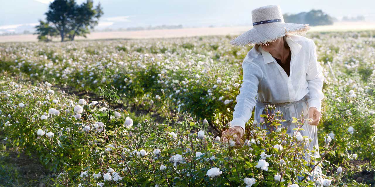 Lancome 3 roses sales